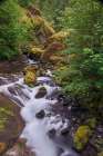 Tanner Creek-Columbia River Gorge-Oregon Art Print